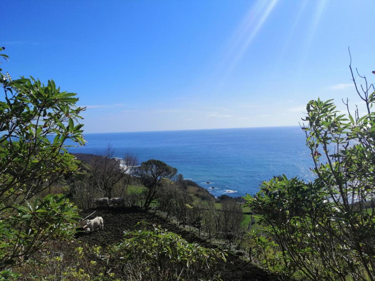 Lajes das FloresA Casa Do Ti Mendonca别墅 外观 照片